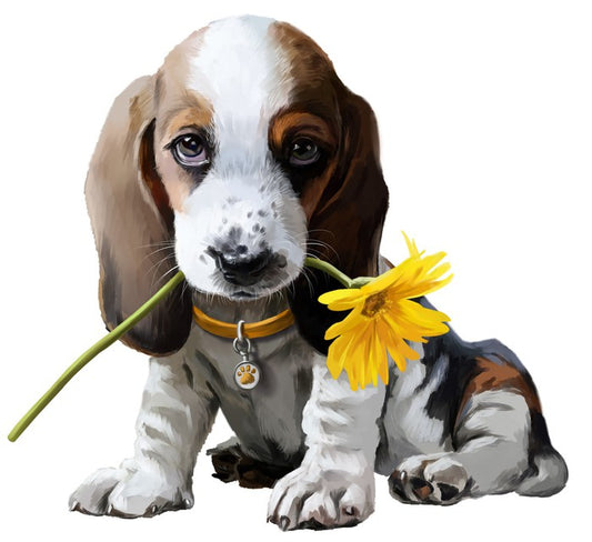 Beagle bouquet