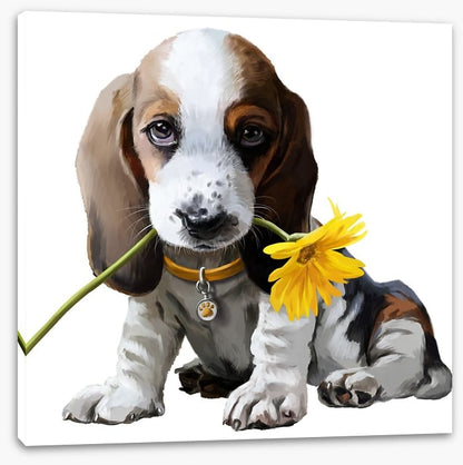 Beagle bouquet