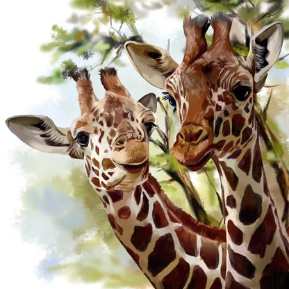 Giraffe and calf