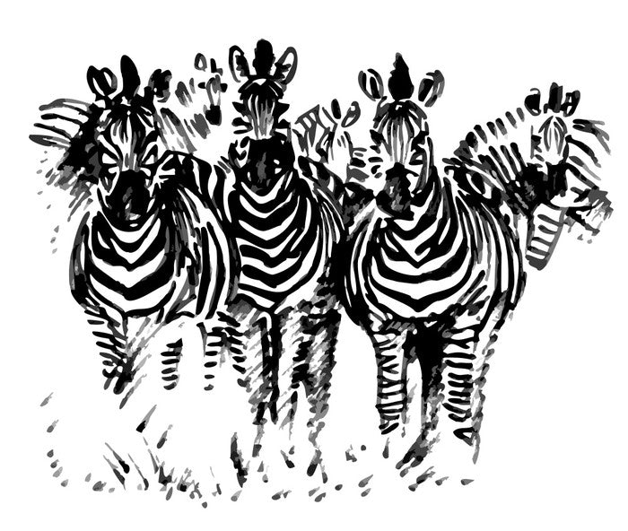 A dazzle of zebras