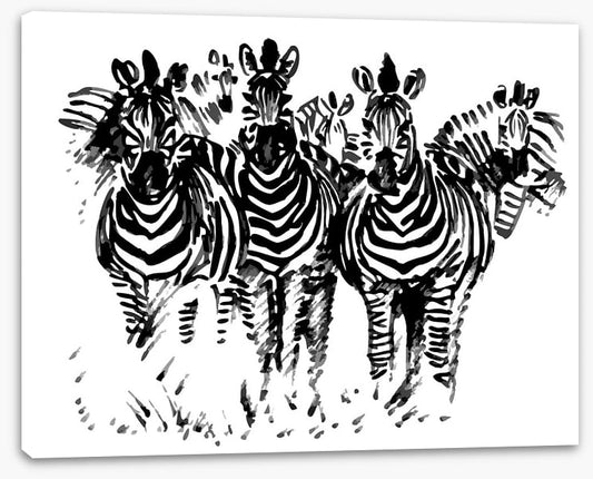 A dazzle of zebras