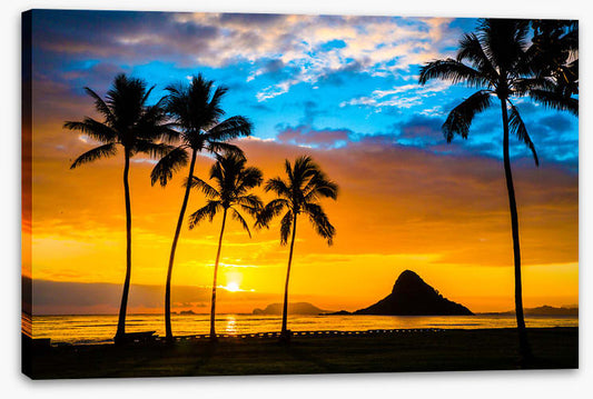 Hawaiian dream