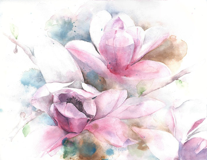 Magnolia dreams