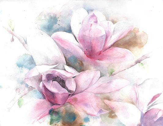 Magnolia dreams