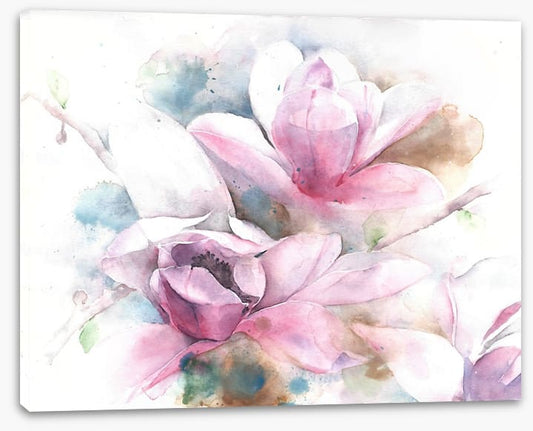 Magnolia dreams