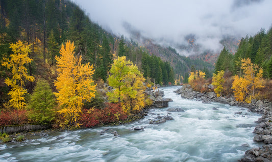 Turbulent times 2
