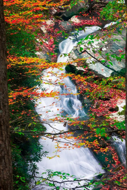 Rivers