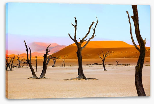The deserted desert