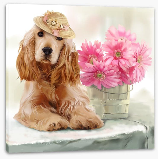 Springtime spaniel