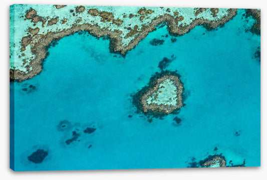 Coral reef heart