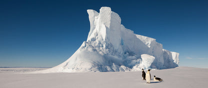 Glaciers