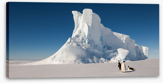 Glaciers