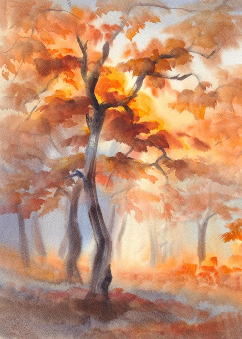 First light