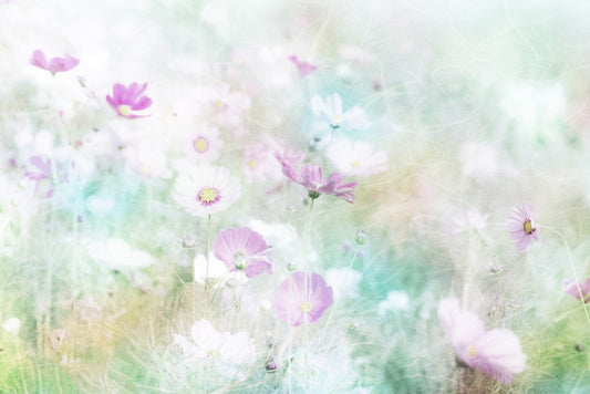 Hazy days of spring