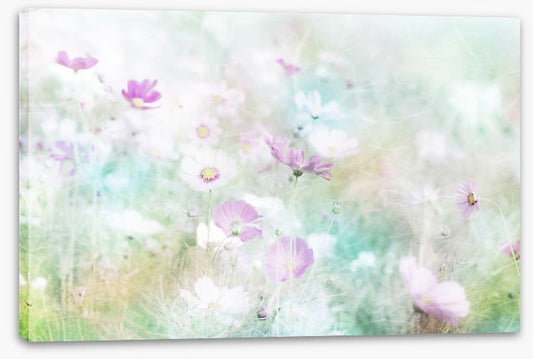 Hazy days of spring