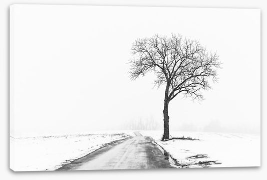 Towards freezing