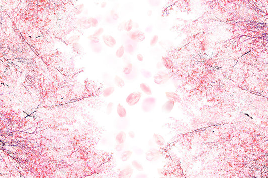 Blossom in the breeze