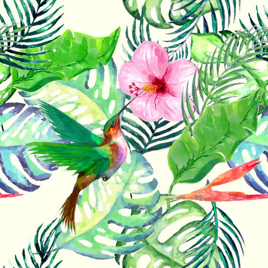 Hummingbird delight