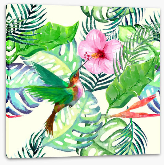 Hummingbird delight