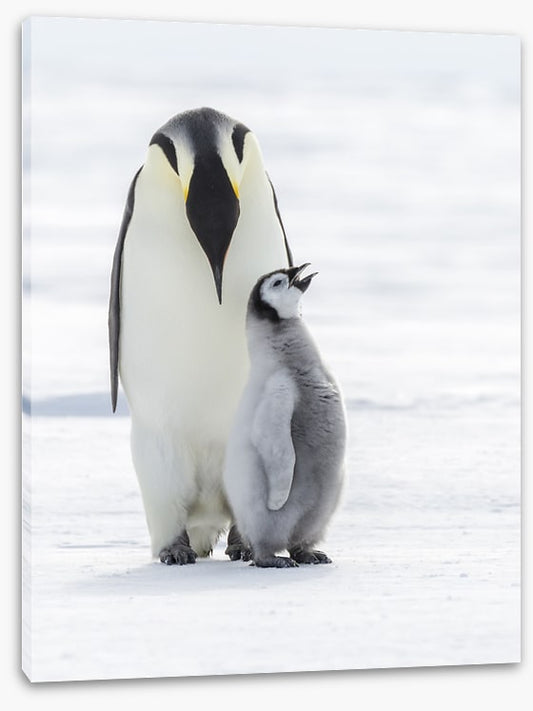 Sing for your supper