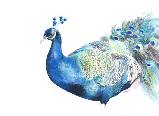 Peacock pose