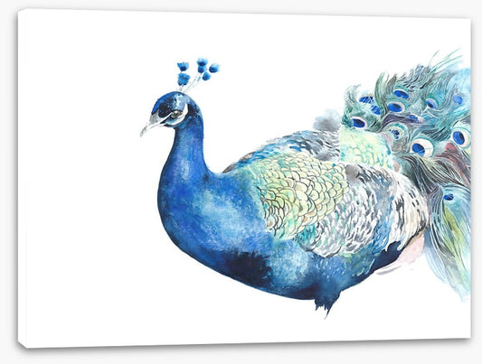 Peacock pose