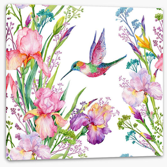 Iris and hummingbird
