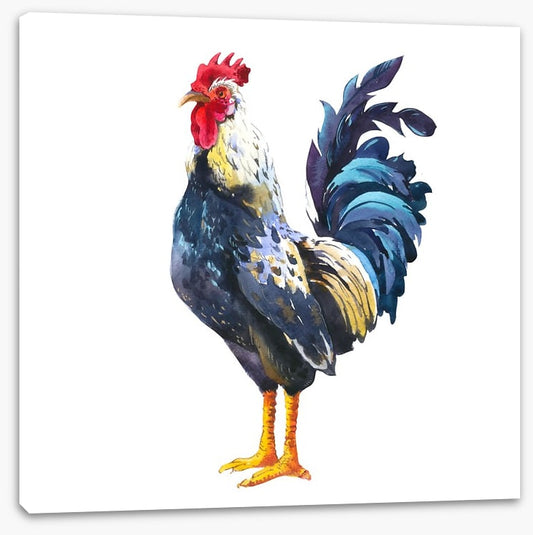 The blue rooster