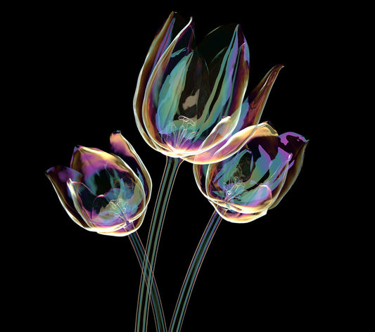The glass tulips