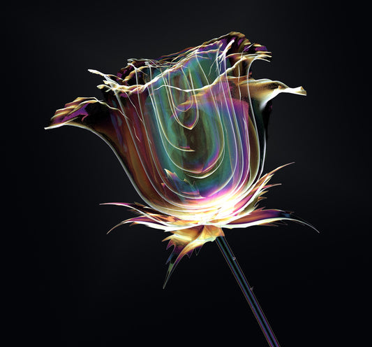 The glass rose