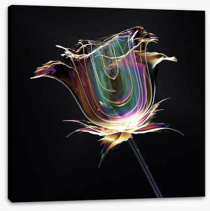The glass rose