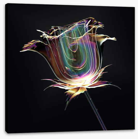 The glass rose