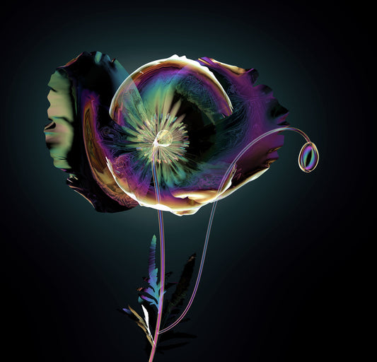 The glass poppy