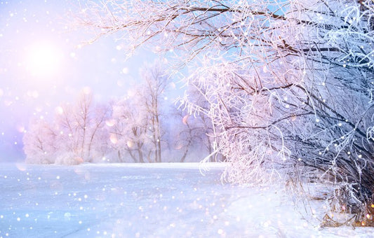 Pink snow sunrise