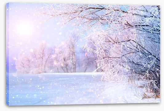 Pink snow sunrise