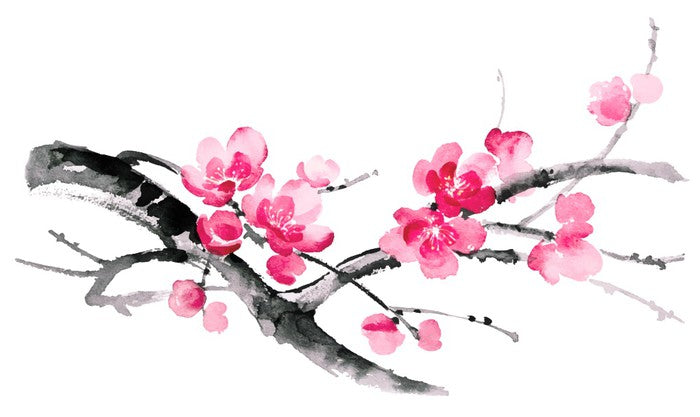 Cherry blossom branch