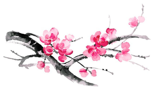Cherry blossom branch