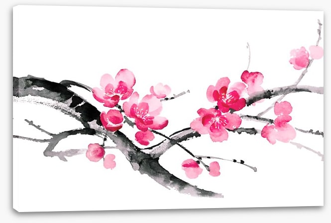 Cherry blossom branch
