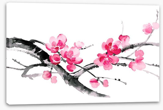 Cherry blossom branch