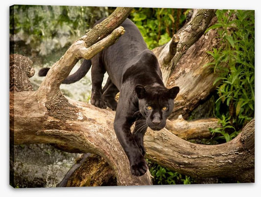 Stealth mode
