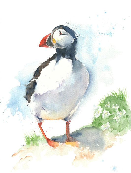 Little puffin