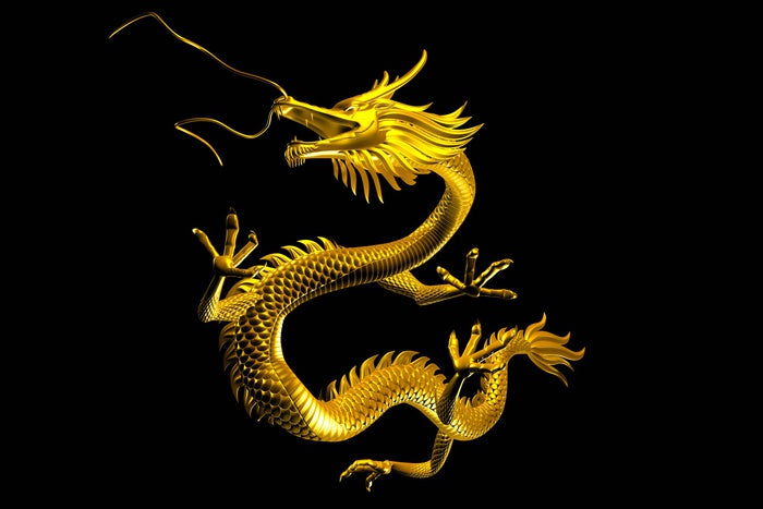 Dragons