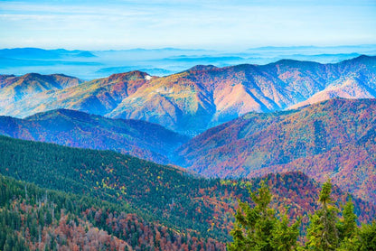 Mountain morning