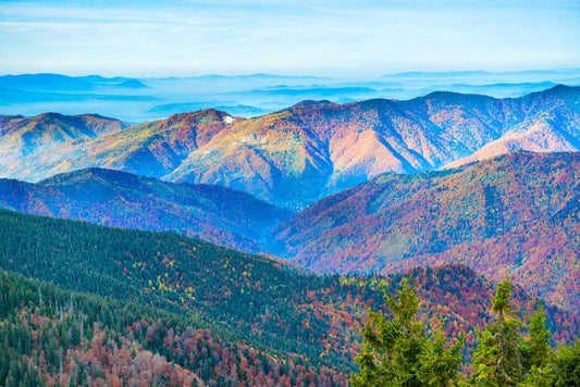 Mountain morning