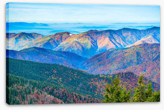 Mountain morning