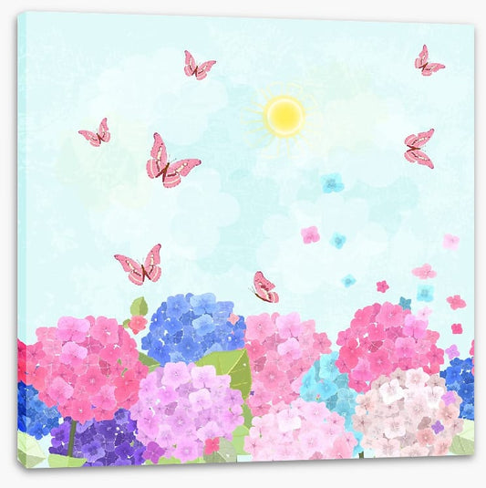 Hydrangea flutter