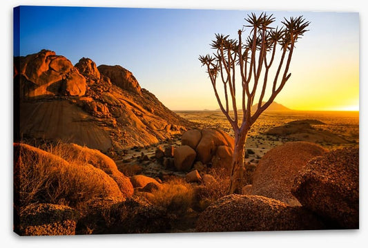 Life in Damaraland