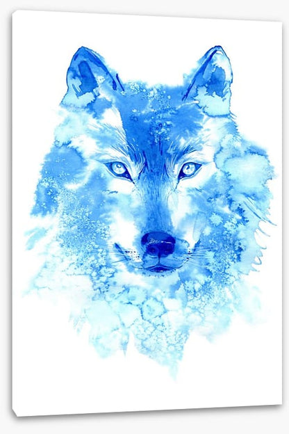 Blue wolf