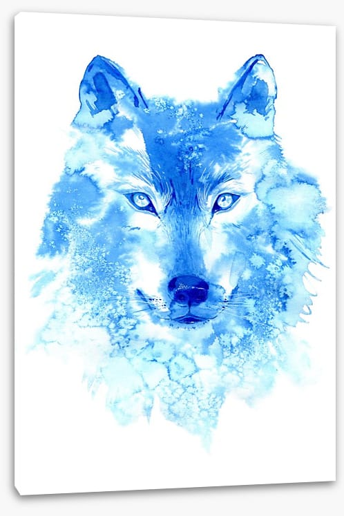 Blue wolf