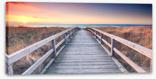 Bridge to the bay